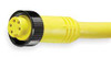 BRAD HARRISON 105000A01F200 CORDSET,5 PIN,RECEPTACLE,FEMALE