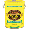 CABOT 1407 STAIN SEMISOL OIL EX DP BS 5G