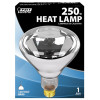 FEIT ELECTRIC 250R40/1 HEAT LAMP, R40, 250-WATTS
