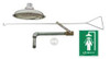 HAWS 8169 EMERGENCY SHOWER FLUSH CEILING 20 GPM