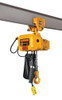 HARRINGTON SNERP030C-10 ELECTRIC CHAIN HOIST 6000 LB. 10 FT.