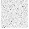 USG INTERIORS 821004 5/8 ALPINE CEILING PANEL 2X2