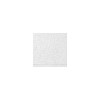 USG INTERIORS 829741 RADAR ILLUSION CEIL PANEL 2X4