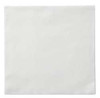 HOFFMASTER 120053 NAPKIN DINNER 17X17" 1/4 F LINEN-LK WHT