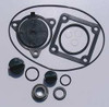 GRAINGER GLOBAL SOURCING 24D049 SEAL KIT,BUNA,FOR 11G235,13T387,24D039