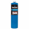 WORTHINGTON CYLINDERS 304182 PROPANE HAND TORCH CYLINDER, 14.1-OZ.