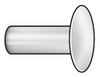 HANSON RIVET 350820-2 RIVET ROUND 1/4 DIA 1 1/4 L PK 45
