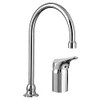 AMERICAN STANDARD 6114380.002 KITCHEN & BAR FAUCETS; TYPE: GOOSENECK ;