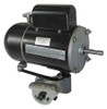 DAYTON VE13V402MAG MOTOR ASSEMBLY