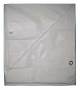 GRAINGER GLOBAL SOURCING 5WTN2 TARP FLAME RESISTANT POLYETH 15X20FT