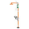GUARDIAN G1941 SHOWER WITH EYE WASH,GALVANIZED PIPE