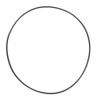 DAYTON PP60079G O-RING VITON