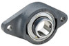 INA RCJTY25-N FLANGE BEARING 2-BOLT BALL 25MM BORE
