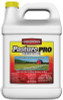 PBI/GORDON CORP 8111072 PASTURE PRO HERBICIDE, 1-GAL.