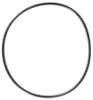 DAYTON PPT2P523G O-RING PK2
