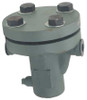 SSI 0100-300B2TT-1 BASKET STRAINER 304SS 1 FNPT X FNPT