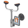 GUARDIAN EQUIPMENT G1771 WALL MTD EYE/FACE WASH