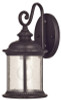 WESTINGHOUSE LIGHTING 62306 LNTRN WALL ORB/CLR SDD GLS 1LT