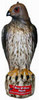 BIRD-B-GONE MMRTH1 BIRD-B-GONE DECOY HAWK
