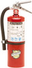 BUCKEYE FIRE 10914 FIRE EXTINGUISHERS