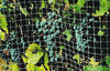 BIRD-X NET-STR-200 MSC ANIMAL TRAPS