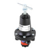 WATTS R119-02CG REGULATOR 1/4 0 TO 125 PSI OUT STEAM