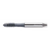 WALTER PROTOTYP M2021306-M3 SPIRAL POINT TAP M3X0.5 HSS