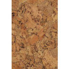 GRAINGER GLOBAL SOURCING Wlaco-des306013 WALL TILE DESERT 12 IN W PK5