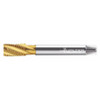 WALTER PROTOTYP 2456315-G1/4 PIPE/CONDUIT THREAD TAP 1/4 -19 HSS