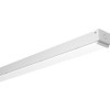 ACUITY BRANDS CLX L96 6000LM SEFFDLMVOLTGZ1040K80CRIWH LED LINEAR STRIP LIGHT 5535 LM