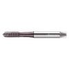 WALTER PROTOTYP EP2023302-M8 SPIRAL POINT TAP M8X1.25 HSS