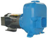 GOULDS WATER TECHNOLOGY 50SPM70 SELF PRIMING PUMP,5 HP,CAST IRON