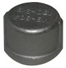LARSEN SUPPLY CO., INC. 32-2955 STAINLESS STEEL PIPE CAP, 3/8-IN.
