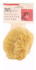 ARMALY BRANDS 15216 MEDIUM TEXTURE PAINTING SPONGE