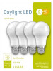 GENERAL ELECTRIC 32583 LED LIGHT BULBS, A19, DAYLIGHT, 450 LUME