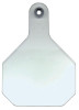 ANIMAL HEALTH INTERNATIONAL 15445201 ALL AMERICAN LIVESTOCK TAG, BLANK, LARGE