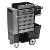 FLEXCART FC-100CSWBT TOOL UTILITY CART SERIES 100