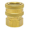FOSTER 38FS BRASS SOCKET,3/8"FPT
