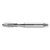 WALTER PROTOTYP P40310-M10 SPIRAL POINT TAP M10X1.5 HSS
