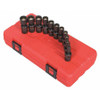 SUNEX TOOLS 1825 UNIVMAGIMPCTSCKTSET,MTRC,1/4",12PT.