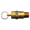 MILTON 1090-200 ASME SAFETY VALVE,200 PSI POP OFF PRESS