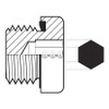 ADAPT-ALL 9028-02 HOSE ADAPTER 1/8 BSPP