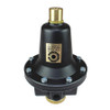 COILHOSE PNEUMATICS CO 8802KH REGULATOR TAMPERPROOF 0-200PSI 1/4