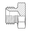ADAPT-ALL 9030-12 HOSE ADAPTER 3/4 BSPP