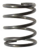 WESTWARD TT360C43G SPRING