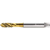 WALTER PROTOTYP 7606556 1/4-20 UNC 3 FLUTE 2B SEMI-BOTTOMING SPI