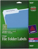AVERY 05029 CLEARSELFADHESIVEFILINGLABELS,PK450