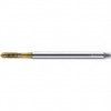 WALTER PROTOTYP 6149167 M6X1.00 METRIC 6H 3 FLUTE TIN FINISH COB
