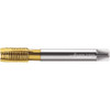 WALTER PROTOTYP 6149379 M5X0.50 METRIC FINE 6H 3 FLUTE TIN FINIS