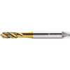WALTER PROTOTYP 6244510 M5X0.80 METRIC 3 FLUTE 7G MODIFIED BOTTO